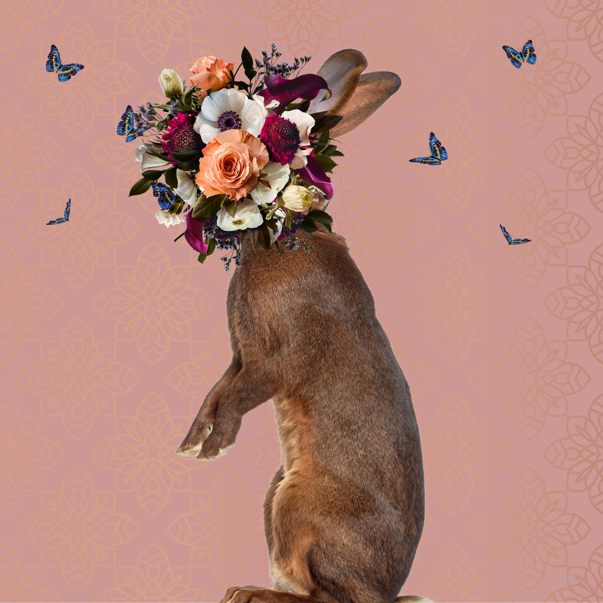 Spring Flower Bonnet On Rabbit Poster och Canvastavla