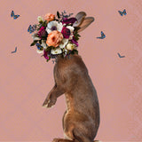 Spring Flower Bonnet On Rabbit Poster och Canvastavla