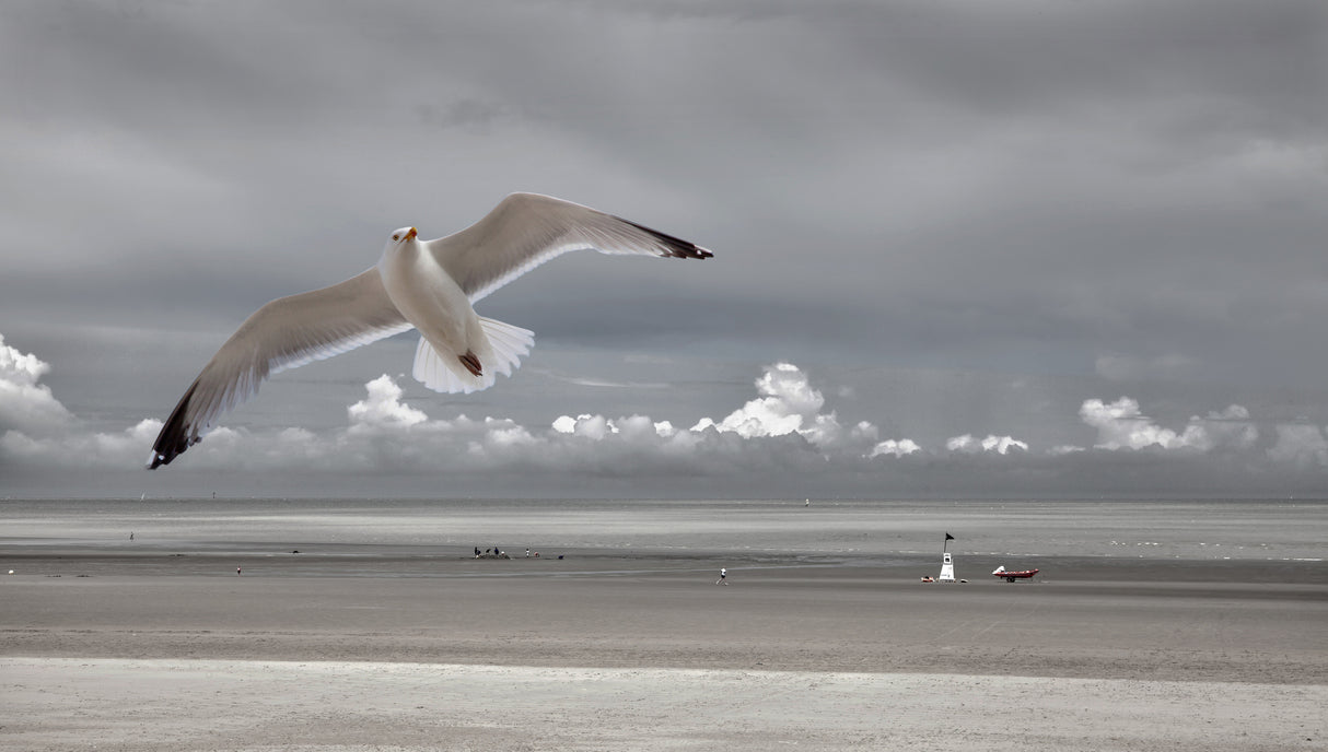 Seaside mood Poster och Canvastavla