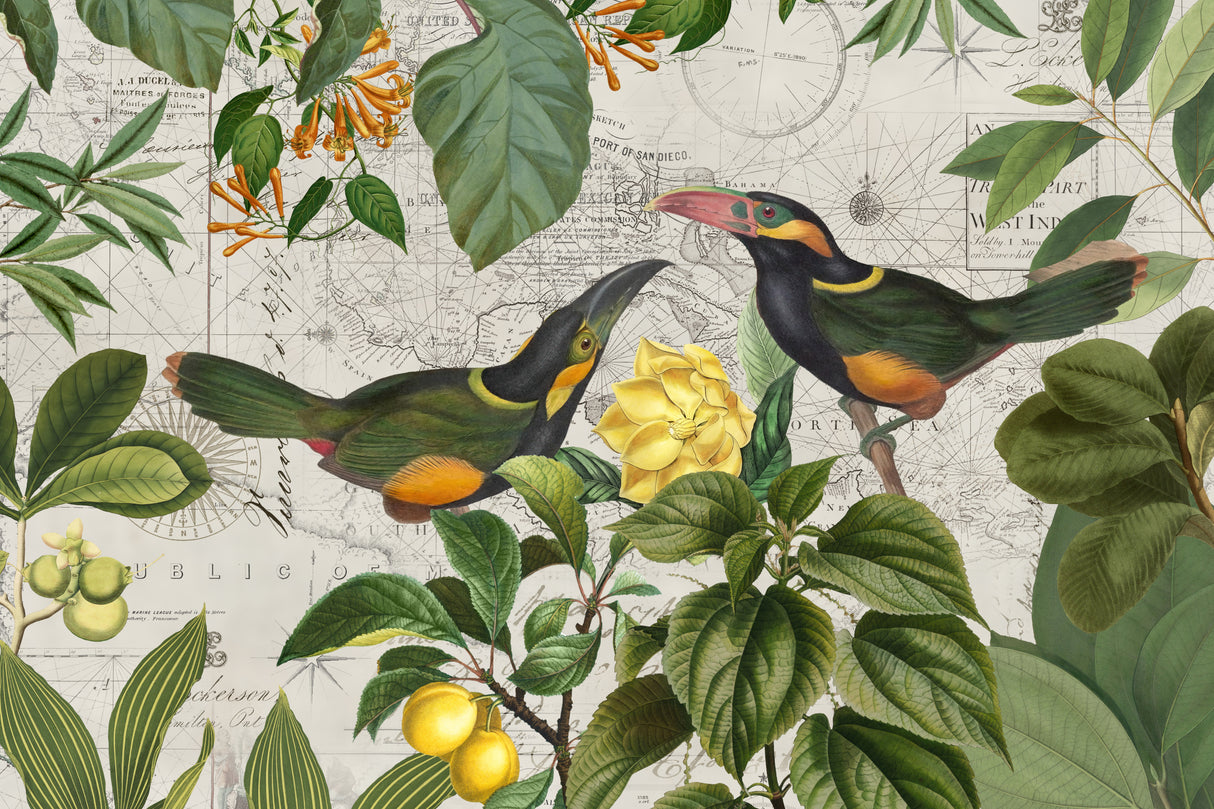 Parrots Nostalgic Journey 2 Poster och Canvastavla