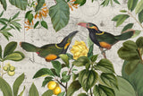 Parrots Nostalgic Journey 2 Poster och Canvastavla