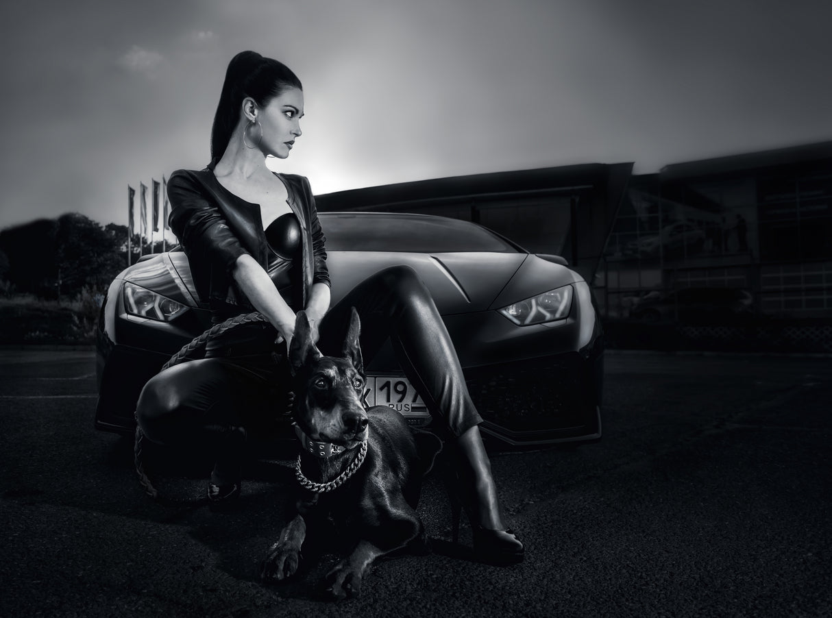Daniela, the Doberman and Lamborghini Huracan BW Poster och Canvastavla