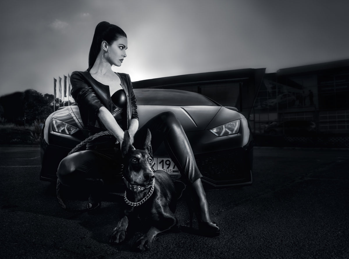 Daniela, the Doberman and Lamborghini Huracan BW Poster och Canvastavla