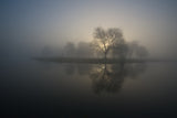 Cold misty morning Poster och Canvastavla