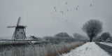 Winter etching Poster och Canvastavla