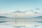 a Quiet Sea Poster och Canvastavla
