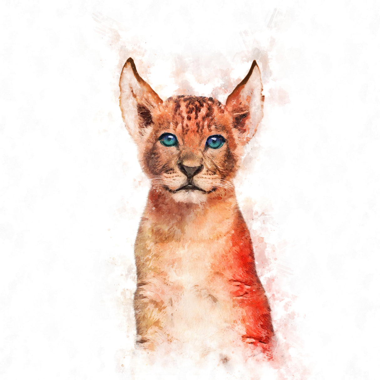 Baby Lion Poster och Canvastavla