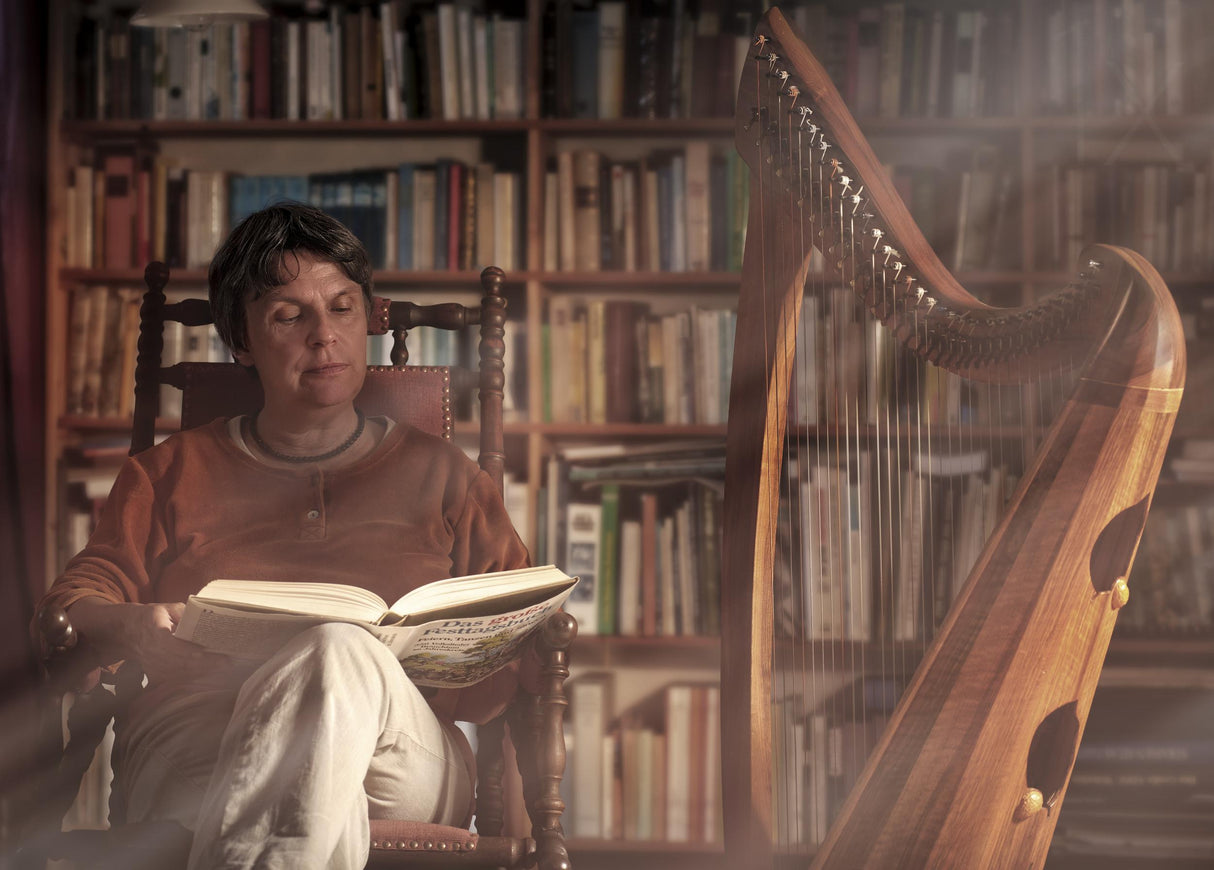 storyteller &amp; harpist Poster och Canvastavla