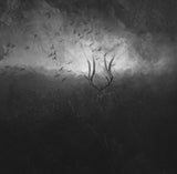 Mother Nature's Son Poster och Canvastavla