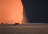 Namibia Impressions Poster och Canvastavla