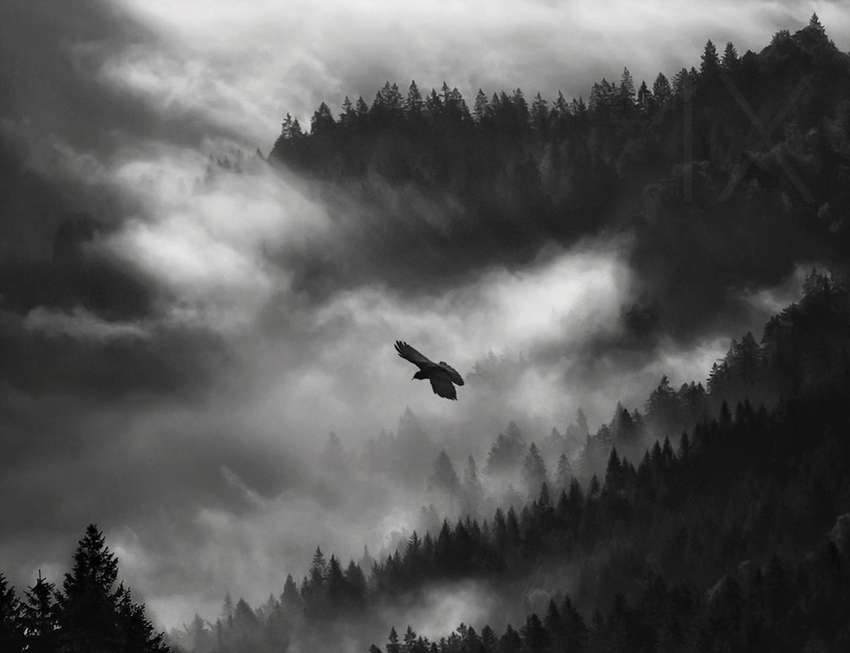 about isolation III Poster och Canvastavla
