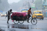 Rain in my city Poster och Canvastavla