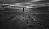Solitude is the soul's bliss, embrace it! Poster och Canvastavla