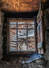 spider's home Poster och Canvastavla