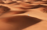 Sahara desert Poster och Canvastavla