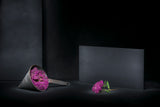 Purple offering Poster och Canvastavla