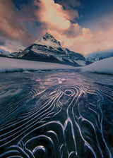 Stunning Ice Line Poster och Canvastavla