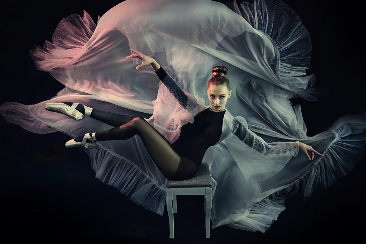 silk dance Poster och Canvastavla