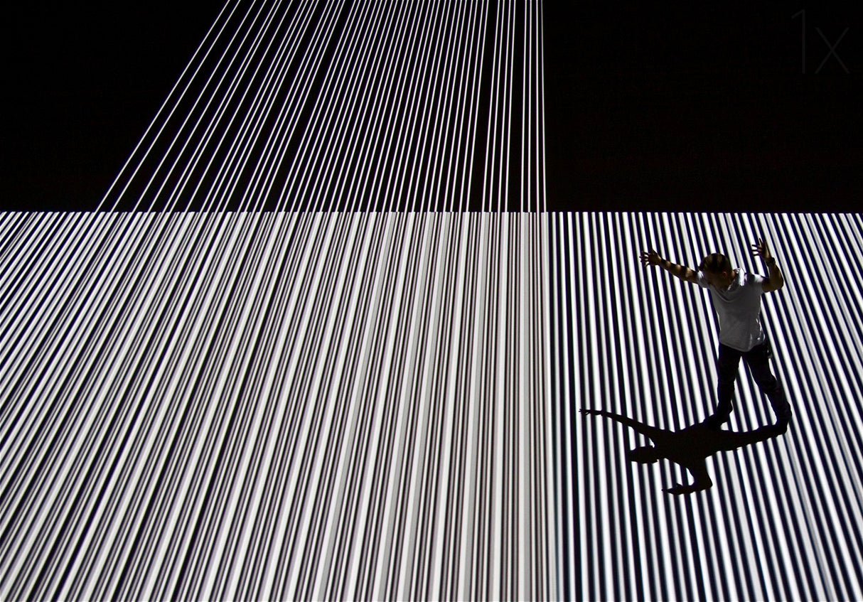 Shadowplay Poster och Canvastavla