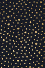 Stardust At Midnight Poster och Canvastavla