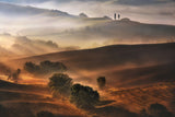 Tuscan morning... Poster och Canvastavla