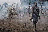 A scene in a mundari cattle camp-II - South Sudan Poster och Canvastavla