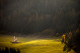 Divine light. Poster och Canvastavla