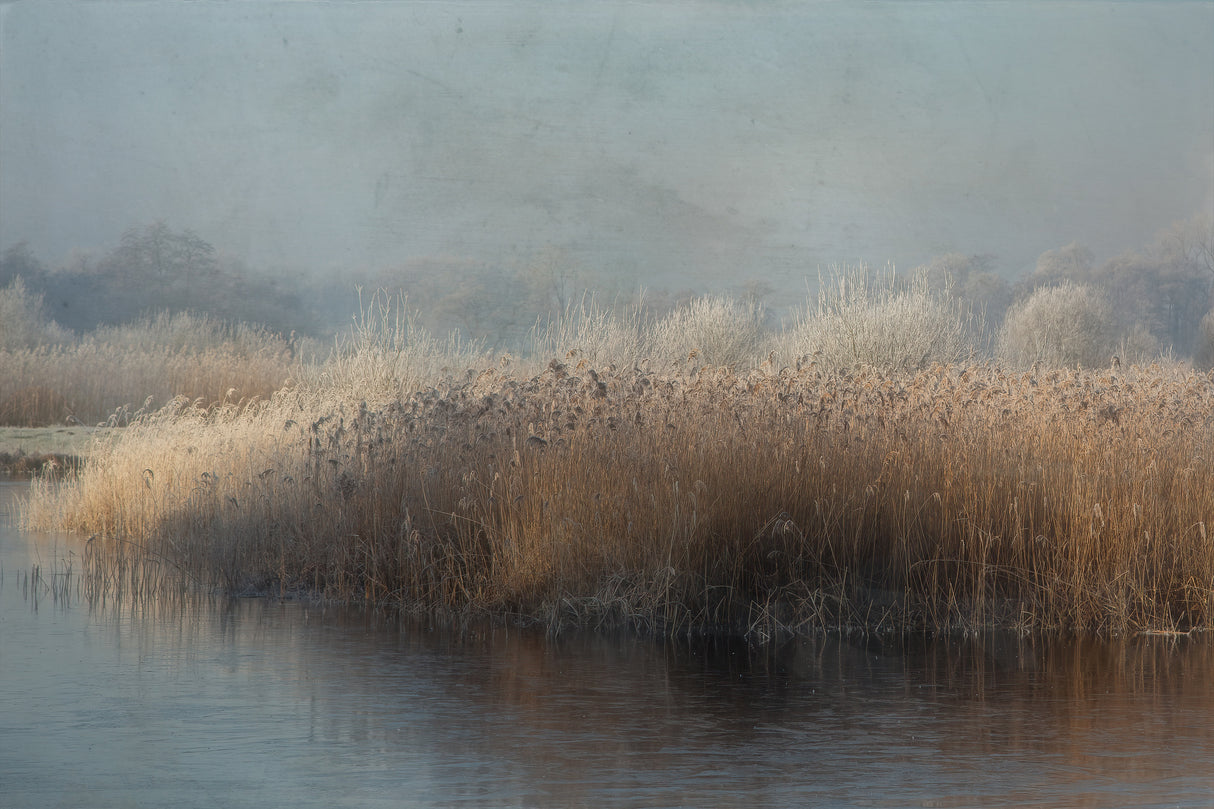 winter in holland Poster och Canvastavla