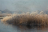 winter in holland Poster och Canvastavla