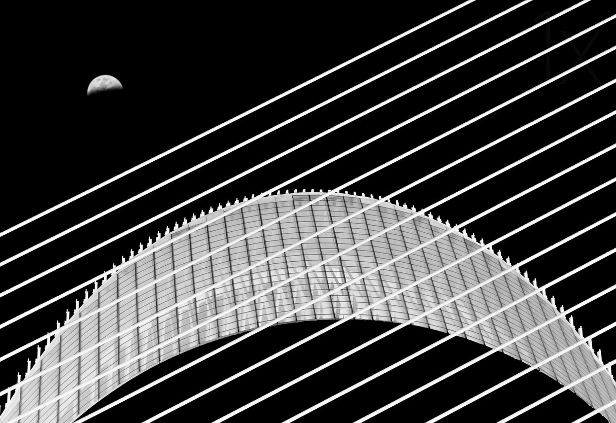 TWO MOONS Poster och Canvastavla
