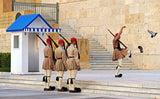 Changing of the Guard Poster och Canvastavla