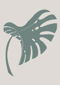 Monstera Bent Green Poster och Canvastavla