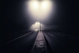 Lose to night. Poster och Canvastavla