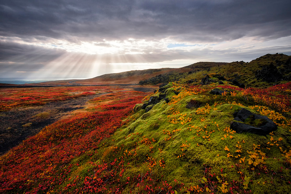 Light and colors of Autumn Poster och Canvastavla