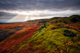 Light and colors of Autumn Poster och Canvastavla