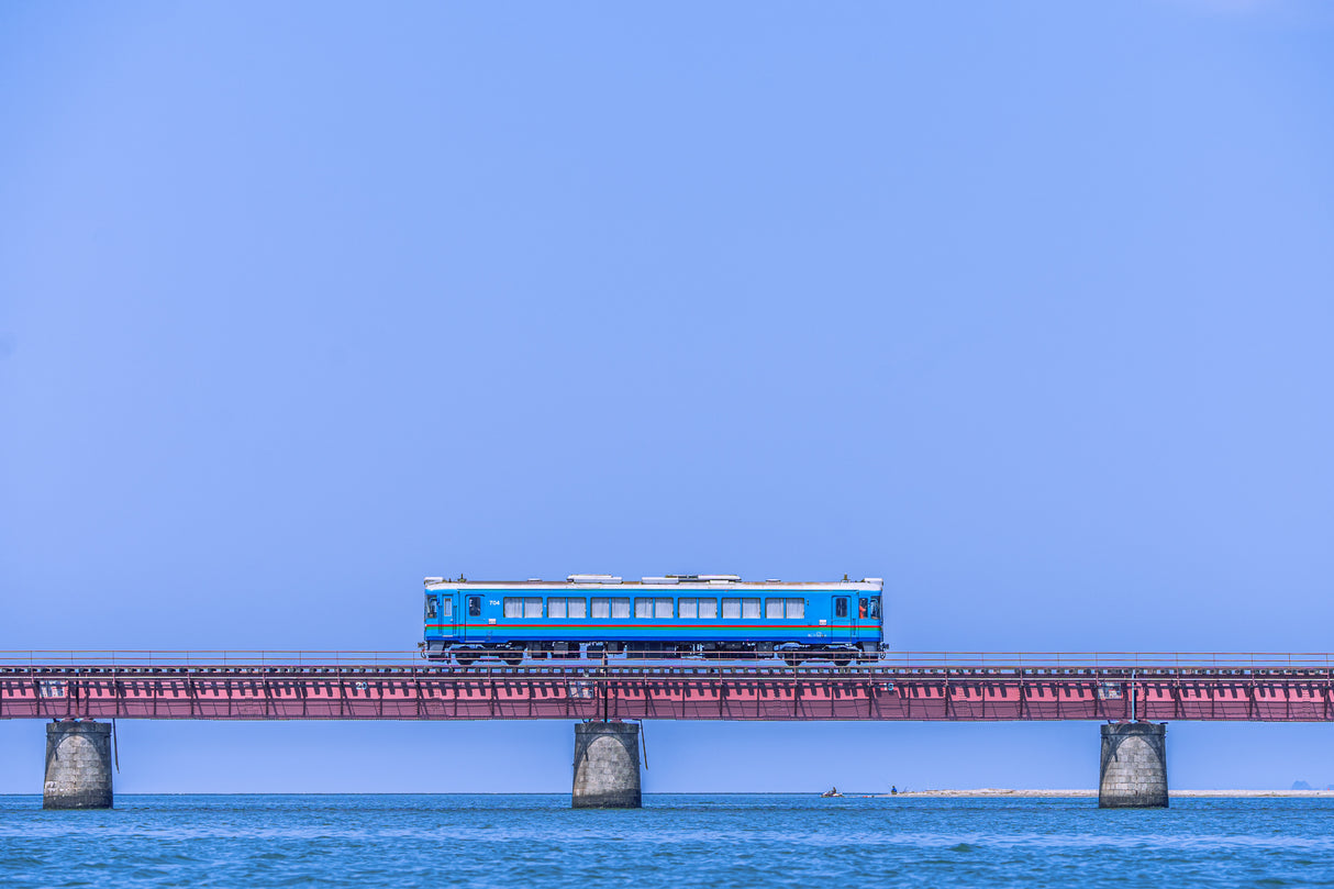 Blue train Poster och Canvastavla