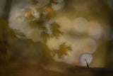 Autumn atmosphere Poster och Canvastavla