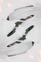 Monstera White 02 Poster och Canvastavla