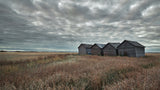 Autumn Morning Poster och Canvastavla