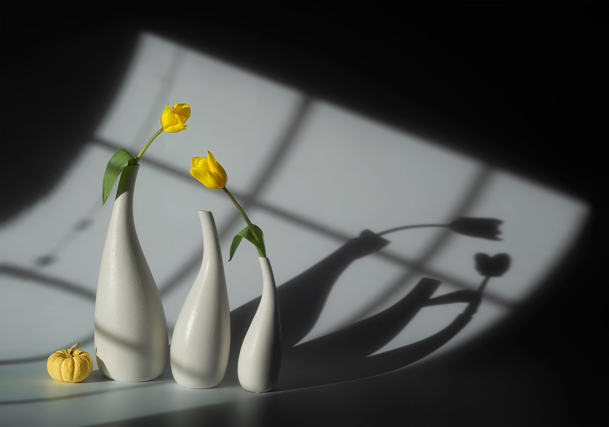 Sun and Shadow Poster och Canvastavla
