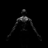 Black Back 2 Poster och Canvastavla