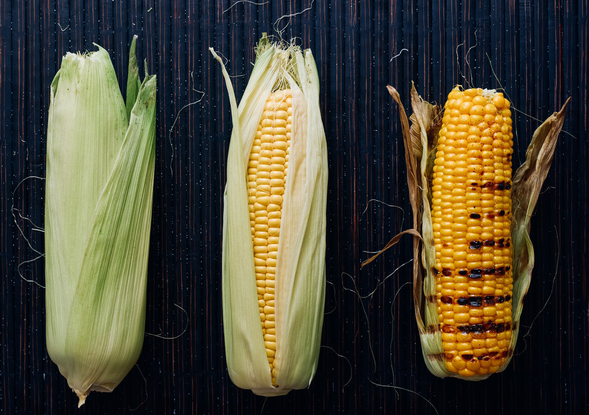 FOODprocess #1- Grilled corn Poster och Canvastavla