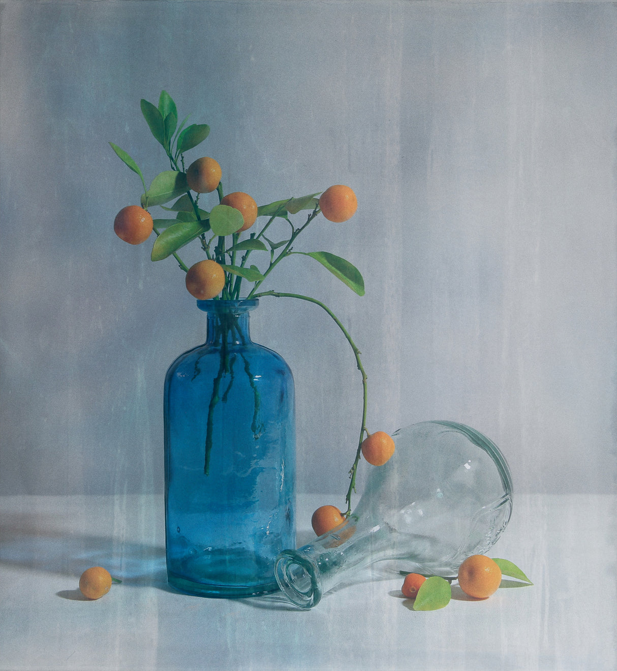 Fresh Kumquat II Poster och Canvastavla