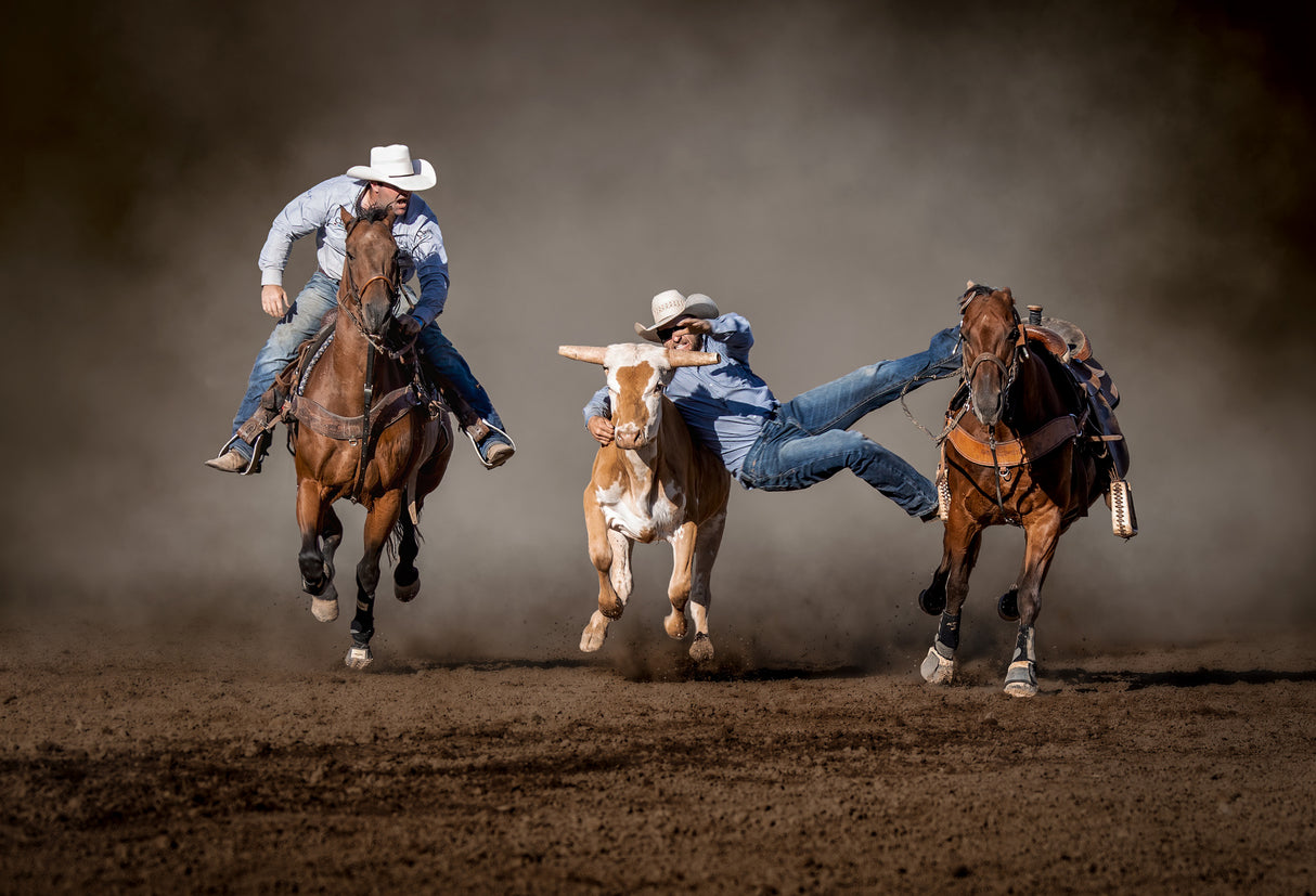 Chasing Poster och Canvastavla
