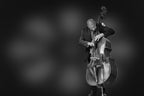 the cellist Poster och Canvastavla