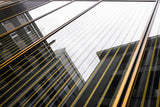 Reflection Poster och Canvastavla