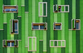 green world Poster och Canvastavla