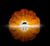Mandarine Poster och Canvastavla