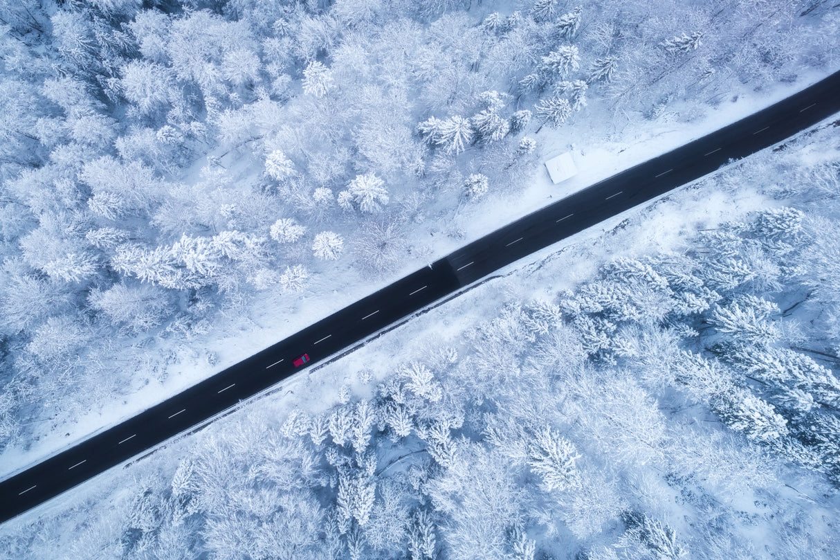 Driving in a Winter Wonderland Poster och Canvastavla
