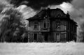 The haunted house Poster och Canvastavla